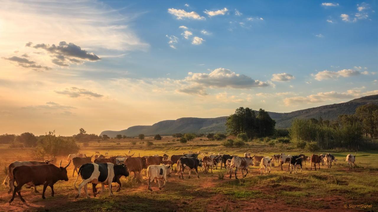 Apartamento Thaba Manzi Ranch Magaliesburg Exterior foto
